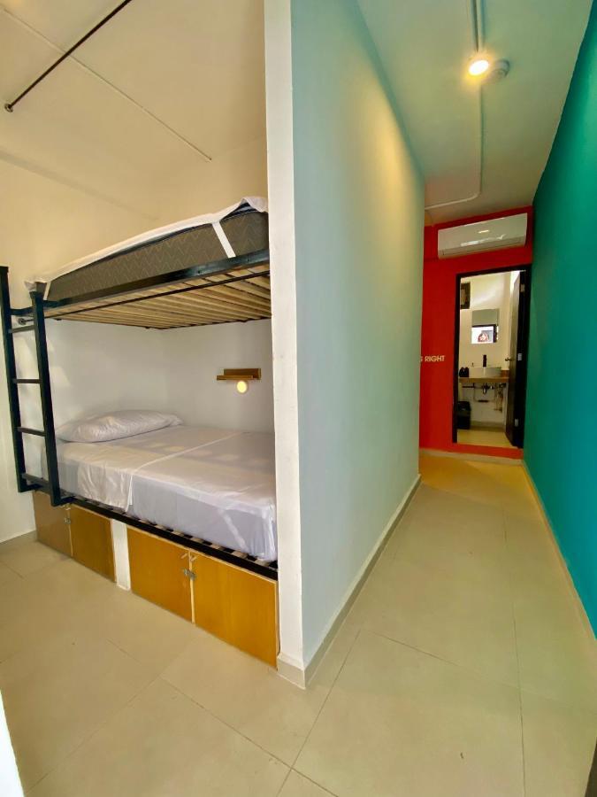 Why Not Rooftop Party Hostel 普拉亚卡门 外观 照片