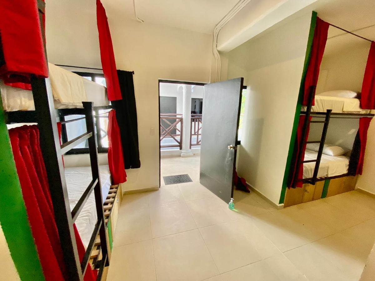 Why Not Rooftop Party Hostel 普拉亚卡门 外观 照片