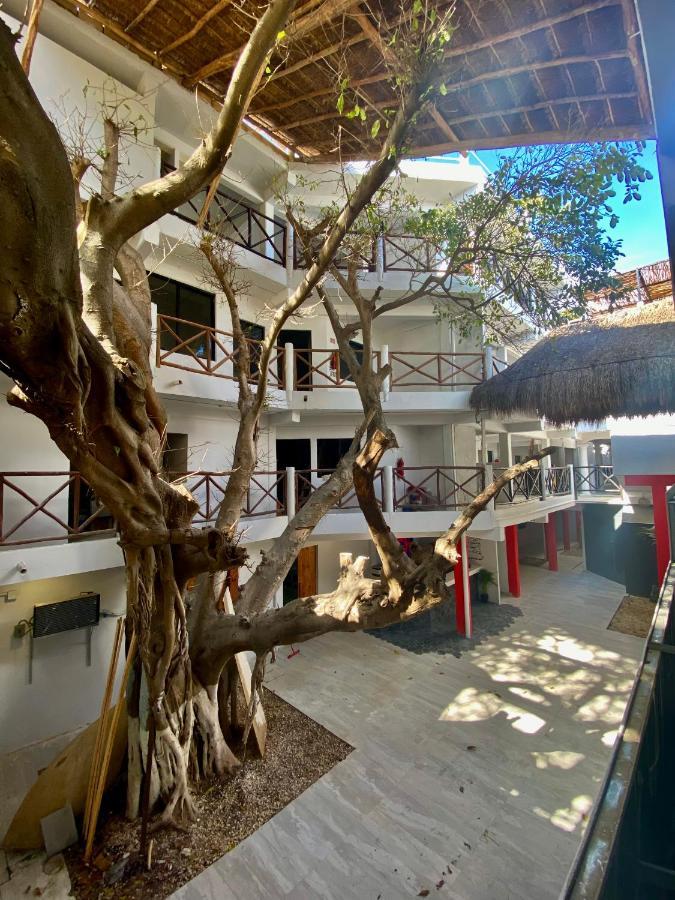 Why Not Rooftop Party Hostel 普拉亚卡门 外观 照片