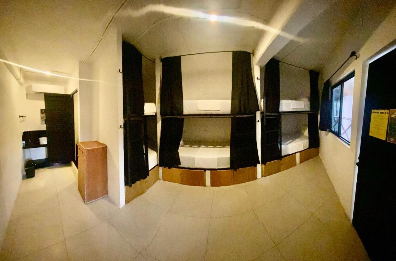 Why Not Rooftop Party Hostel 普拉亚卡门 外观 照片