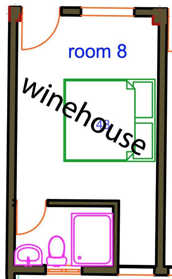 Why Not Rooftop Party Hostel 普拉亚卡门 外观 照片